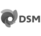 DSM